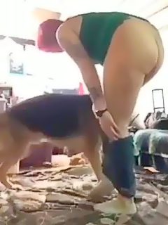 Sexo de perros con mujeres