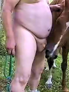 Caballo comer hombre polla