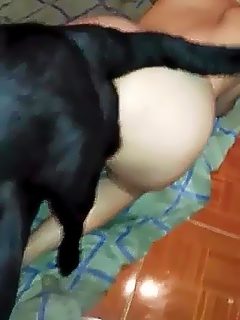 Esposa cachando con perro