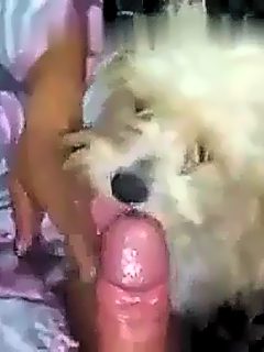 Pareja con su perro xxx