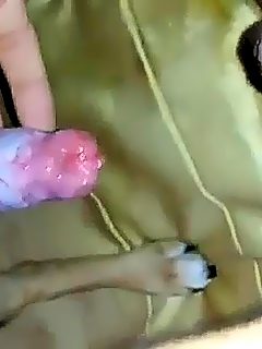 Paja perro porno