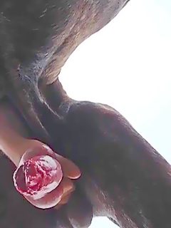 Sexo casero perro