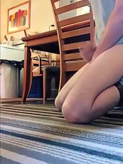 Perro coje a hombre
