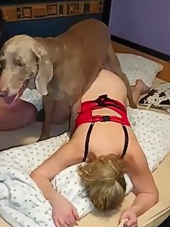 Mujeres haciendo sexo con perros