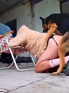 Homem é fodido por cão