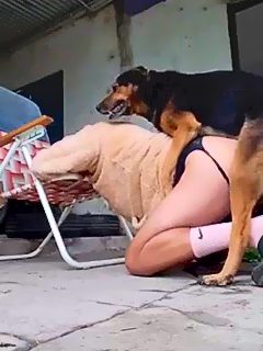 Homem é fodido por cão
