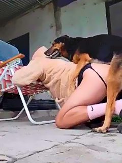 Homem é fodido por cão