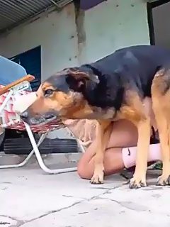 Homem é fodido por cão