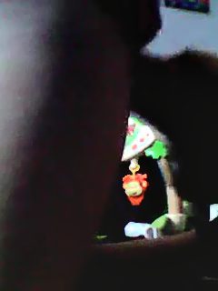 Webcam perro porno