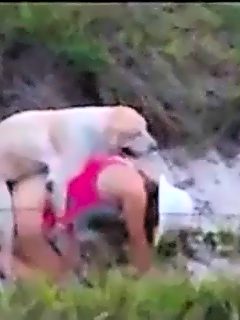 Mujeres con perros teniendo sexo