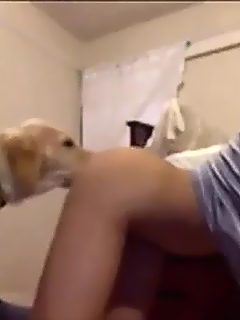 Sexo casero con mascota