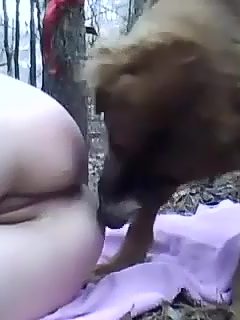 Perro come coño