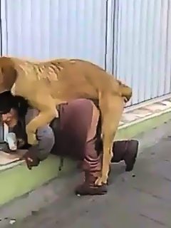 Porno de una mujer y un perro