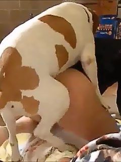 Hombre follando con perro