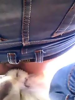 Perros cojiendo hombres