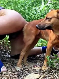 Sexo hombre con perro
