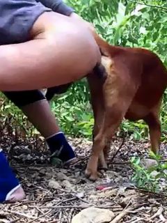 Sexo hombre con perro