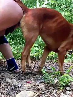 Sexo hombre con perro