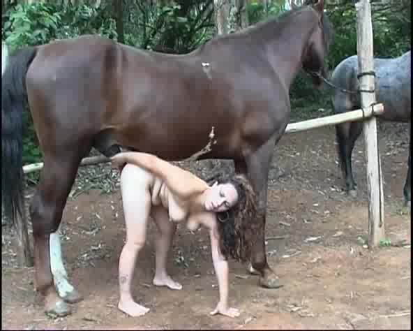 Horse Fucks Girl