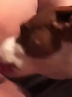 Perro lamiendo coños de mujeres xxx